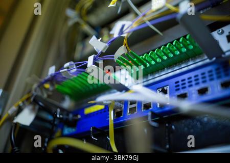 Zeigt flaches Glasfaser-Patchfeld mit grünen Adaptern und gekennzeichneten Kabeln in Rack-Umgebung Stockfoto