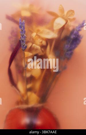 Ein Bouquet aus Lavendel und getrockneten Blumen in einer roten Glasvase mit verschwommenem Effekt und weichem Fokus. Ein künstlerisches Stillleben-Arrangement mit Wildflowe Stockfoto