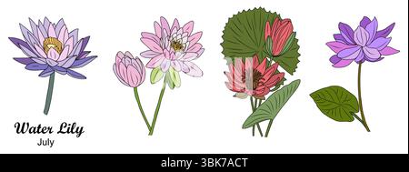 Wasserlilie, symbolischer Juli Geburtsmonat Blumen Set Stock Vektor