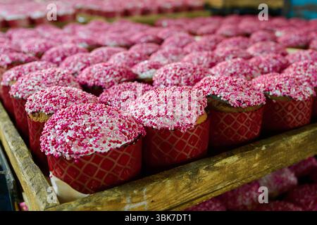 Traditionelles russisches Osterkulich-Brot mit leuchtenden rosa Streuseln, das während der Frühlingssaison in einer Bäckerei ausgestellt wird Stockfoto