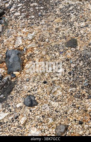 Felsiger, schmutziger Bereich mit ein paar großen Felsen, die überall verstreut sind. Das Bild hat ein robustes, natürliches Gefühl, und die Felsen verleihen dem Bild ein Gefühl von Dep Stockfoto