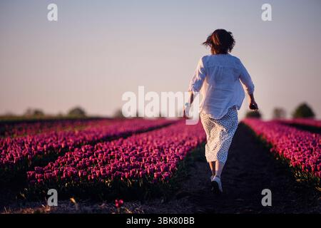 Rückansicht einer Frau, die während der goldenen Stunde zwischen Reihen rosafarbener Tulpen spaziert, umgeben von Natur und warmem Licht. Stockfoto