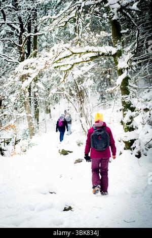 Menschen wandern durch einen magischen, schneebedeckten Waldweg mit Zweigen, die mit Schnee und Moos überladen sind. Diese Winterlandschaft weckt Abenteuer Stockfoto