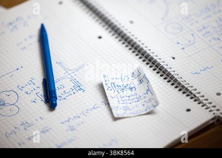 Mathematische Handschrift im Notizbuch aus nächster Nähe Stockfoto