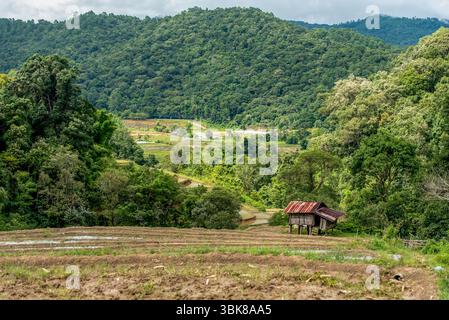 Malerische Berglandschaft mit Reisterrassen und traditioneller Holzhütte im ländlichen Norden Thailands. Üppig grüner Wald und landwirtschaftliches Tal unter cl Stockfoto