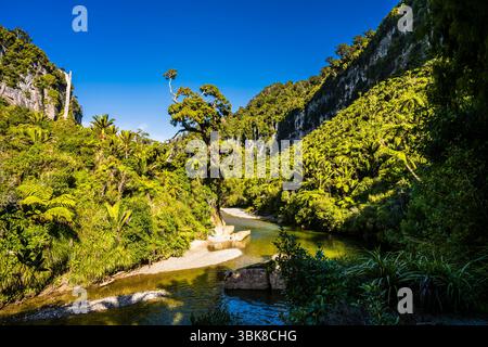 Biegen Sie auf dem Pororari River in der Nähe von Punakaiki, Westküste, Südinsel, Neuseeland Stockfoto