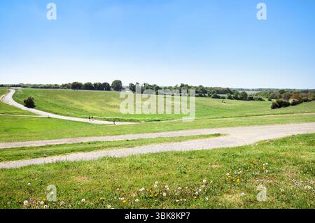 Blick auf offene, grasbewachsene Landschaft, Bäume und Wege auf Epsom Downs in der Nähe der Rennbahn an einem sonnigen Frühlingstag, North Downs Way, Surrey, England, Großbritannien Stockfoto