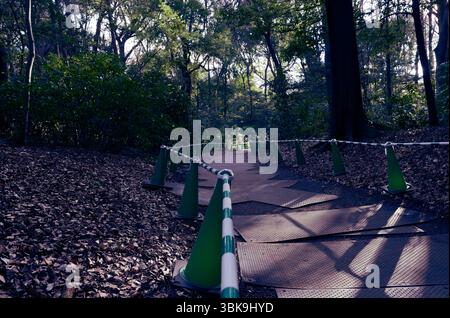 Der temporäre Pfad schlängelt sich durch den Yoyogi Park, der von grünen Kegeln umgeben ist und im Schatten des Waldes liegt Stockfoto