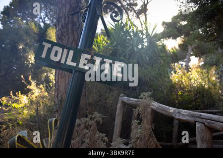 Toilettenschild auf Holzpfeil Nahaufnahme Foto Stockfoto