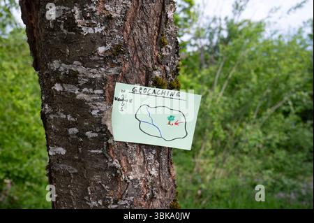 Geocaching, Freizeitaktivitäten Im Freien, Navigation Zum Verstecken Und Suchen Von Containern, Geocache-Standort Im Wald, Schatzjagd-Spiel, Hinweis Auf Baum Tr Stockfoto