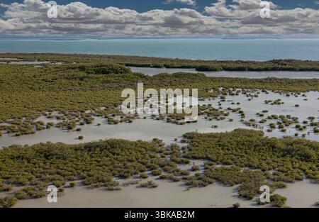 Der Everglades-Nationalpark schützt die größte subtropische Wildnis der Vereinigten Staaten mit einer Fläche von über 1,5 Millionen Hektar Stockfoto