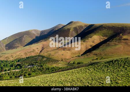 Skiddaw Mountain im Lake District National Park, Cumbria, von Latrigg in der Nähe von Keswick aus gesehen. Blick auf NW. Federfarbe. Mai morgen Stockfoto