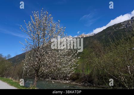 Neustift im Stubaital, Österreich - 19. April 2025 - Stubaital zur Osterzeit Stockfoto