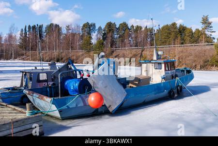 Kleine Binnenfischtrawler ankerten und stecken im Eis im Frühling am Jachthafen Kivisalmi, See Etelä-Konnevesi, Finnland Stockfoto
