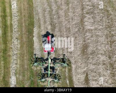 Ein Traktor mit einem heuschneider auf dem Feld, erschossen mit einer Drohne Stockfoto