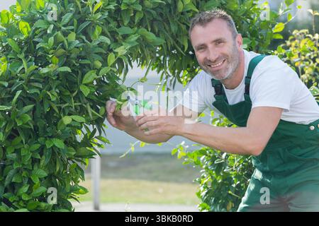 Glücklicher gutaussehender Gärtner schneidet die Büsche mit einer Schere Stockfoto