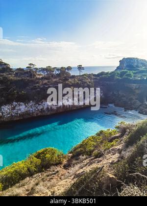 Blick aus der Vogelperspektive, türkisfarbene Bucht, Kiefernklippen – atemberaubende Luft von Caló des Moro, Mallorca, wo türkisfarbenes Wasser auf felsige Klippen und Kiefern trifft. Ein Medi Stockfoto