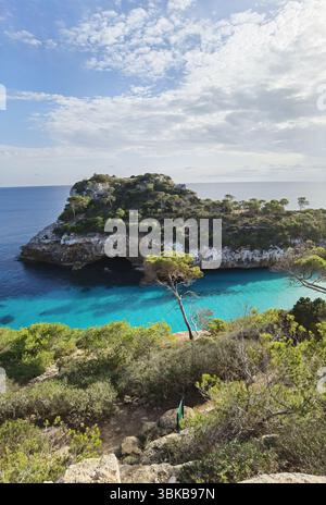 Blick aus der Vogelperspektive, türkisfarbene Bucht, Kiefernklippen – atemberaubende Luft von Caló des Moro, Mallorca, wo türkisfarbenes Wasser auf felsige Klippen und Kiefern trifft. Ein Medi Stockfoto