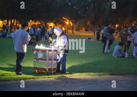18. JUNI 2025: PORTLAND, OR: Eine kostenlose Community Dance Party, die Mount Tabor Dance Party, findet im Peninsula Park statt. Stockfoto