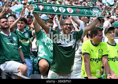 East Rutherford, USA. Juni 2025. Fans von Palmeiras jubeln das Team während des Gruppenspiels zwischen Palmeiras aus Brasilien und Al Ahly FC aus Ägypten bei der FIFA Club-Weltmeisterschaft 2025 in East Rutherford, New Jersey, USA, am 19. Juni 2025. Quelle: Li Rui/Xinhua/Alamy Live News Stockfoto