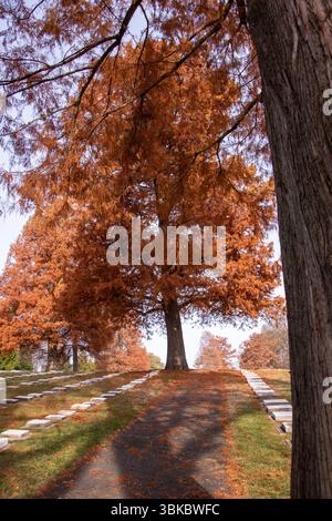 Ein mährischer Kirchenfriedhof, der noch heute im historischen Old Salem, North Carolina, genutzt wird. Die Anlage ist atemberaubend schön und beliebt für Besuche. Stockfoto
