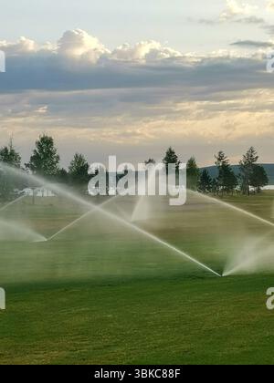 Bewässerungssprinkler auf dem Golfplatz Stockfoto