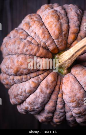 Makrostruktur aus mehrfarbiger schwarzer Futsu-Kürbishaut mit tiefen Rippen und rauer Oberfläche. Herbstgemüse, ideal für den natürlichen Hintergrund oder das Design von Bio-Lebensmitteln Stockfoto