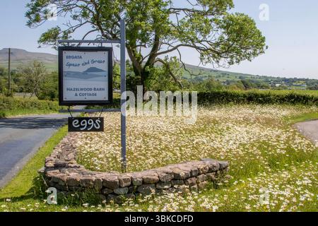Werbung am Straßenrand, Geflügel, Vögel, Landwirtschaft. Eier zum Verkauf, Verkauf von Freilandeiern, Ingleton UK Stockfoto