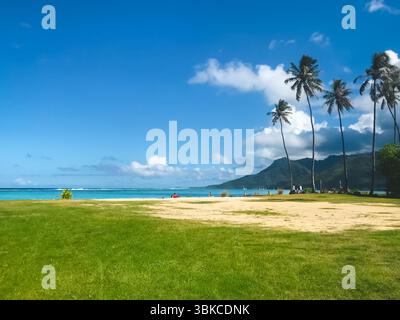 Tropische Landschaft mit Kokospalmen, grünem Gras und Menschen, die sich am Strand entspannen. Wunderschöne Naturlandschaft, natürlicher Hintergrund. Konzept eines idealen Ruheplatzes. Reisen, Tourismus, Urlaub Stockfoto