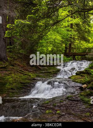 Wunderschöner Wasserfall vom Canyon der Wasserfälle Öko Pfad in Smolyan, Bulgarien Stockfoto
