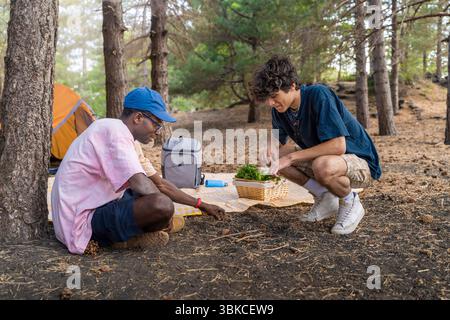 Zwei junge, vielfältige Freunde setzen ihre Kreativität ein und spielen während eines Campingausflugs in der ein Strategiespiel mit natürlichen Elementen wie Stöcken und Tannenzapfen Stockfoto