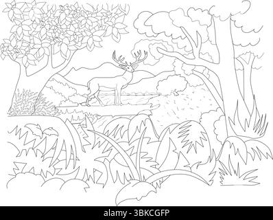 Schwarz-weiße Umrisszeichnung eines majestätischen Hirsches mit Geweihen, die in einem üppigen Dschungel oder einer Waldlandschaft stehen, perfekt zum Ausmalen von Büchern, Lehrbüchern Stock Vektor