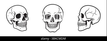 Human Skulls set in different angles isolated on white background, graphic illustration in black outline. concept of anatomy, human bone structure, science, Halloween decor, design element, sketch. Stock Vektor
