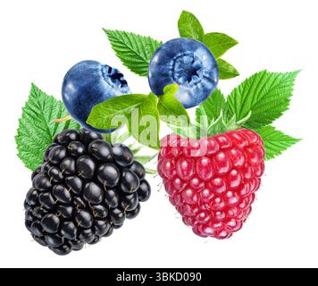 Reife rote Erdbeeren isoliert auf weißem Hintergrund. Nahaufnahme. Stockfoto