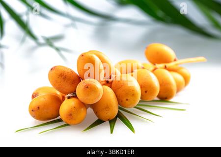 Gelbe frische Datteln oder Dattelpalmfrüchte liegen auf Palmblättern auf weißem Tisch und verschwommene grüne Blätter im Hintergrund. Stockfoto