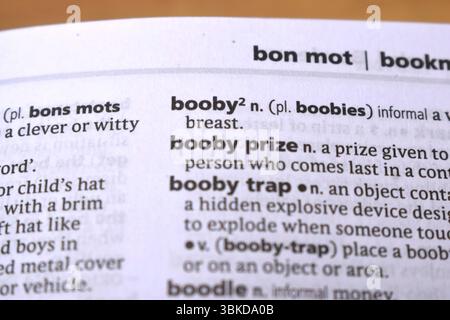 Englisches Wörterbuch Definition Von Word - Booby Image Stockfoto