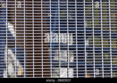 Metallgitter-Plattform mit Ansicht unten, die den Industriestandort und die Sicherheitsstruktur zeigt Stockfoto