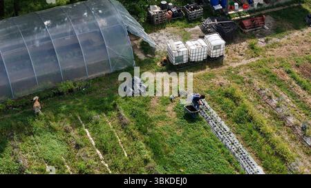 Aus der Vogelperspektive lässt sich die landwirtschaftliche Landschaft erkennen, Landwirte, die in der Nähe von Polytunneln Feldfrüchte anbauen, Wasserspeicher, Landmaschinen, die Nachhaltigkeit hervorheben Stockfoto