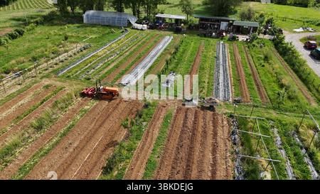 Aus der Vogelperspektive ist ein lebendiger Gemeinschaftsgarten, in dem Zweiradtraktoren aktiv saubere Reihen pflügen und nachhaltige Landwirtschaft und Standorte hervorheben Stockfoto