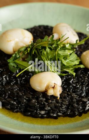 Ein Gourmet-Teller mit Risotto aus schwarzer Tintenfisch-Tinte, garniert mit gebratenem Tintenfisch und einer frischen Rucola-Garnitur. Der leuchtende Grün- und Tiefschwarz-Kontrast b Stockfoto