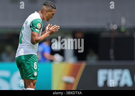 MetLife Stadium, Rutherford, NJ, USA. Juni 2025. Vanderlan von Palmeiras während des Spiels zwischen Palmeiras und Al Ahly FC, für die 2. Runde der Gruppe A für die FIFA Club-Weltmeisterschaft 2025 Credit: Action Plus Sports/Alamy Live News Stockfoto