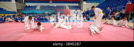 Zrenjanin, Vojvodina, Serbien - 27. April 2025: Seminar des echten Aikido im Kampfsportverein 'Real Aikido Zrenjanin 1995', Studenten werden demonstriert l Stockfoto