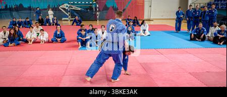 Zrenjanin, Vojvodina, Serbien - 27. April 2025: Seminar des echten Aikido im Kampfsportverein 'Real Aikido Zrenjanin 1995', Studenten werden demonstriert l Stockfoto