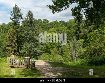 Ein Paar sitzt auf einer hölzernen Sitzbank am Aussichtspunkt über das Westwood Valley in RHS Wakehurst Gardens, West Sussex, England, Großbritannien, Juni Stockfoto