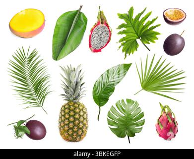 Tropische Blätter und Früchte isoliert auf weiß, Set Stockfoto