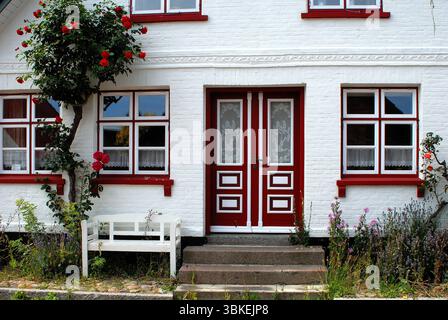 Idyllische Fassade eines traditionellen dänischen Hauses mit einer weißen Ziegelmauer, einer roten Tür und roten Fenstern, die mit Kletterrosen geschmückt sind. Stockfoto