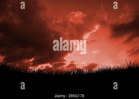 Digital generierter roter Himmel über Gras Stockfoto