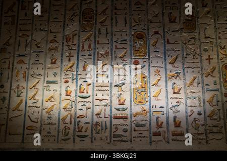 Farbenfrohe Hieroglyphen, die auf einer alten Steinmauer aufbewahrt werden, die dramatisch beleuchtet ist und ägyptische Kunst und Sprache zeigt. Stockfoto