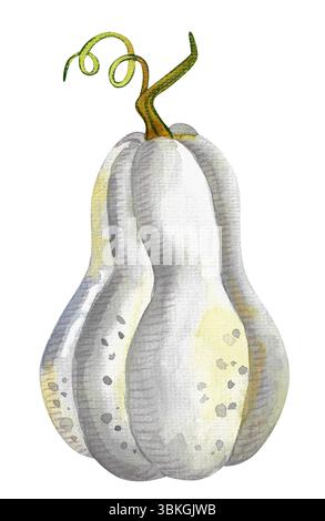 Herbstkürbis. Aquarell handgemalte Ernte für Halloween und Herbstferien auf weißem Hintergrund. Handgezeichnet zur Illustration für Design und Druck Stockfoto