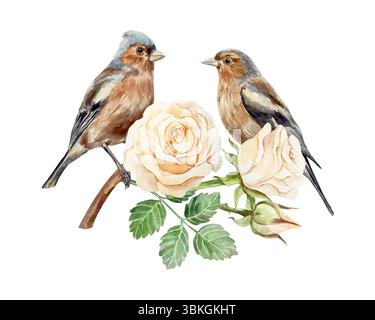 Rosenaquarell. Vögel, die auf einem Ast sitzen. Schöne pastellfarbene Pfirsichblüten und braune Finken. Handgezeichnete Vektorgrafik. Vintage-Grußkarten Stock Vektor